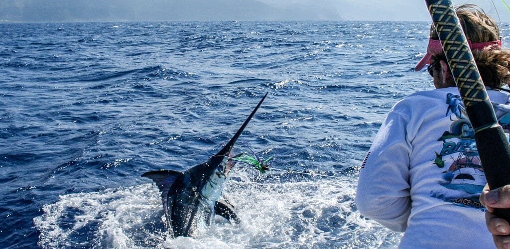 Mistrzostwa świata w wędkarstwie sportowym na Maderze🏆 1 madeira fishing holidays