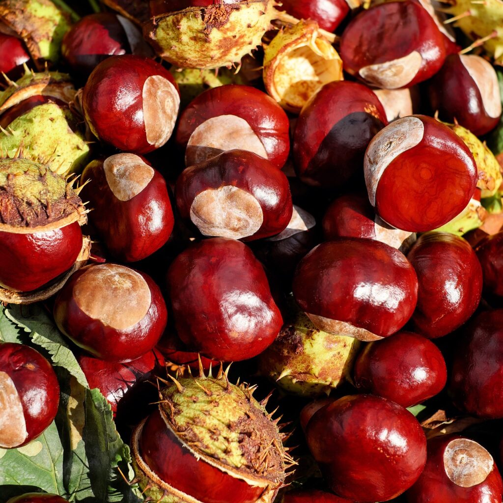 Chestnut Festival and All Saints' Day in Madeira: Two Events You Can't Miss!