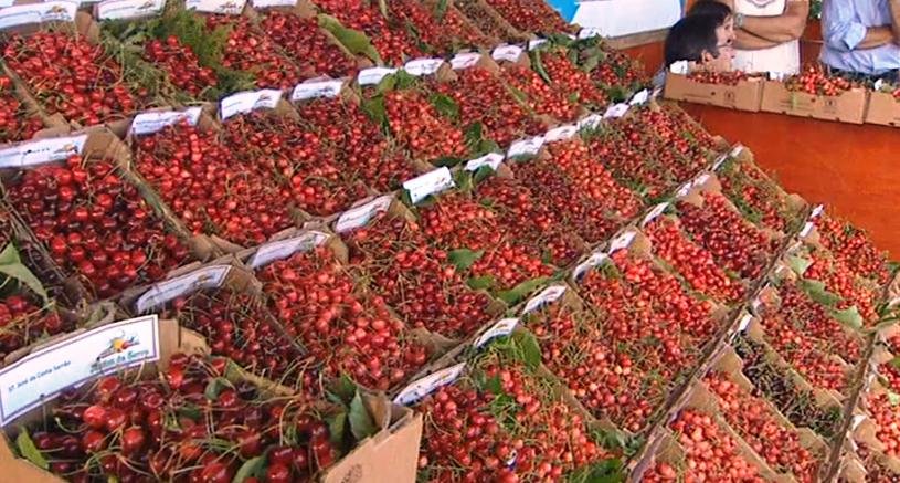 2025 Cherry Festival Madeira