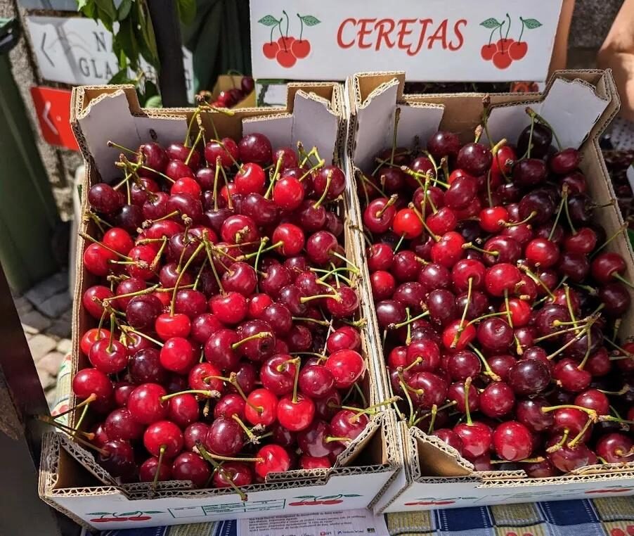 Cherry Festival Madeira