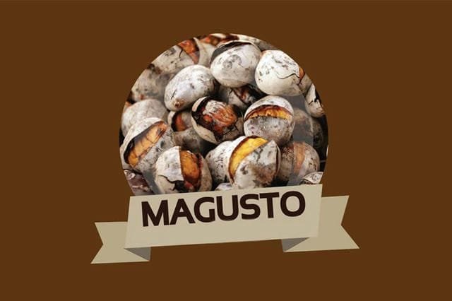 Magusto Festival in Madeira 2025 – The Complete Autumn Celebration Guide 2 Magusto Festival in Madeira 2025