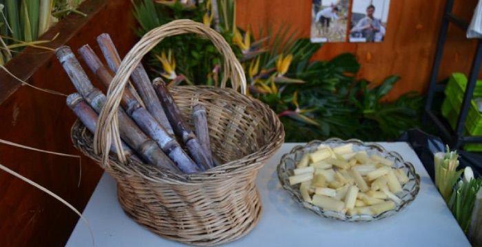 Sugarcane Festival in Canhas, Madeira 2026 7 Sugarcane Festival in Canhas