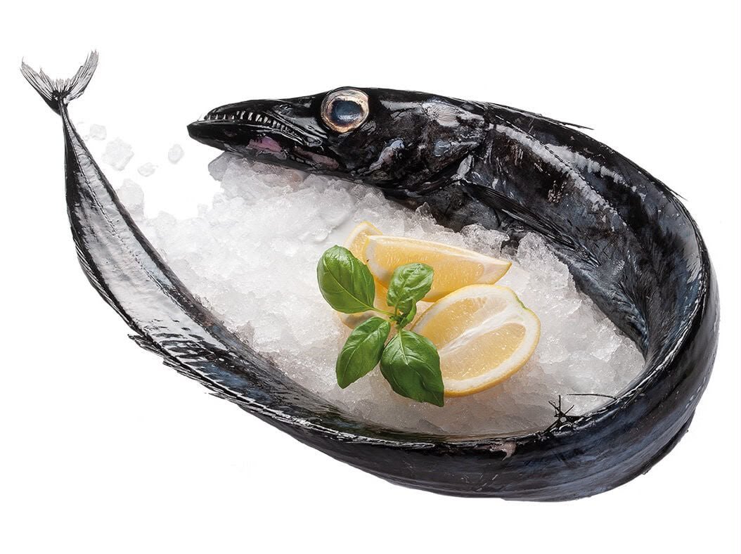 Black Scabbardfish