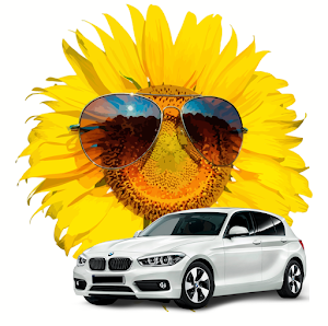 Louer une voiture à Madère 1 GIRASSOL - Rent a car place picture