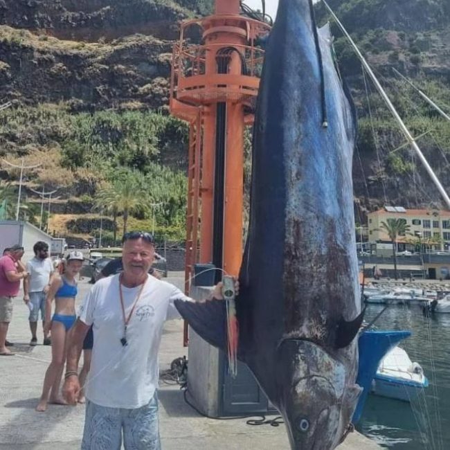 🎣🌊 World Sport Fishing Championship in Madeira 🏆